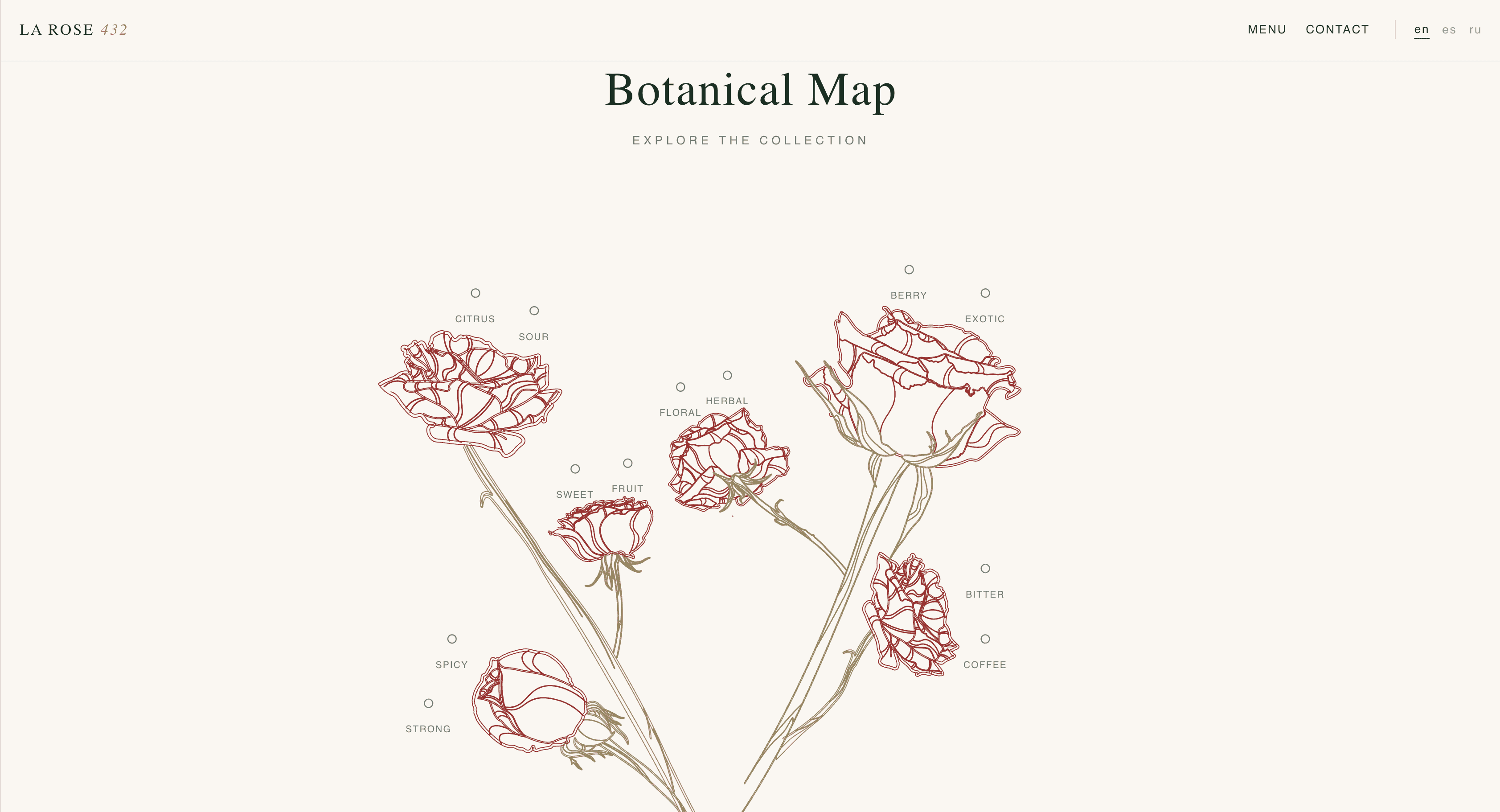 Botanical Map on larose432.com. Twelve flavor names sit on line-drawn roses: citrus, sour, strong, spicy, sweet, fruit, floral, herbal, berry, exotic, bitter, coffee.